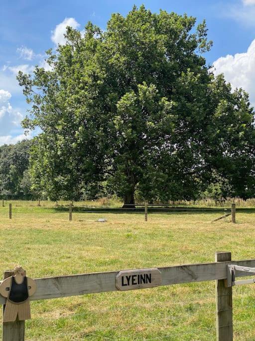 Lyeinn - Newstead Country Retreat Esterno foto