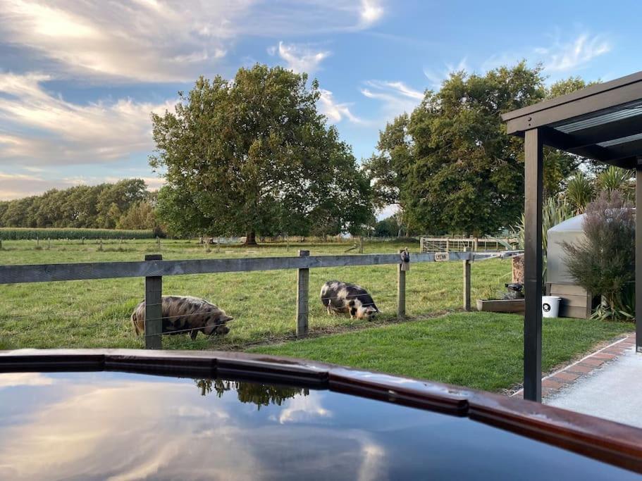 Lyeinn - Newstead Country Retreat Esterno foto